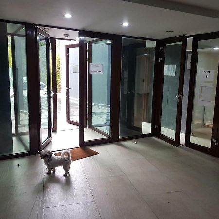 Apartment Brassópojána Kültér fotó
